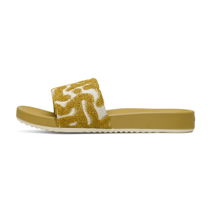 Slide Terry
